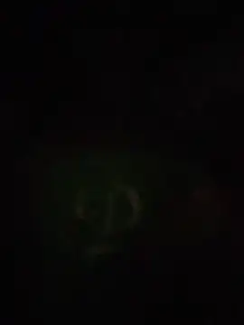 S7LEALTADPERVLIMA7 live