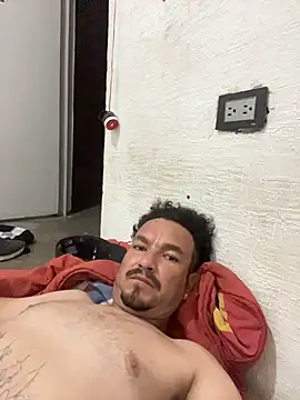 Chulo2026 live