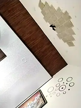 Wild_Vassu live