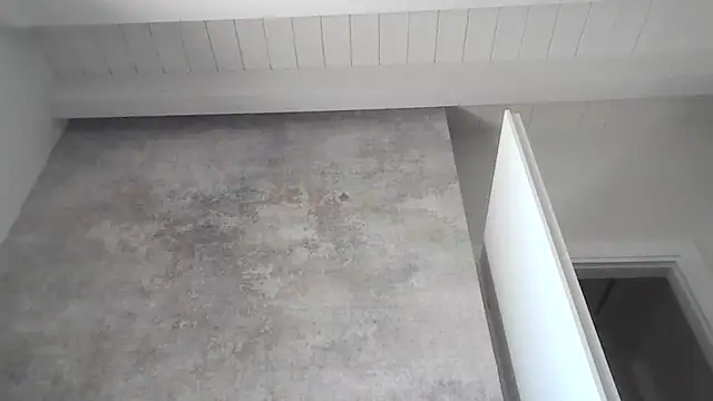 Maschione00 live