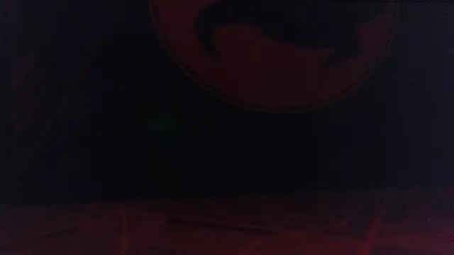 Sandrasaa live