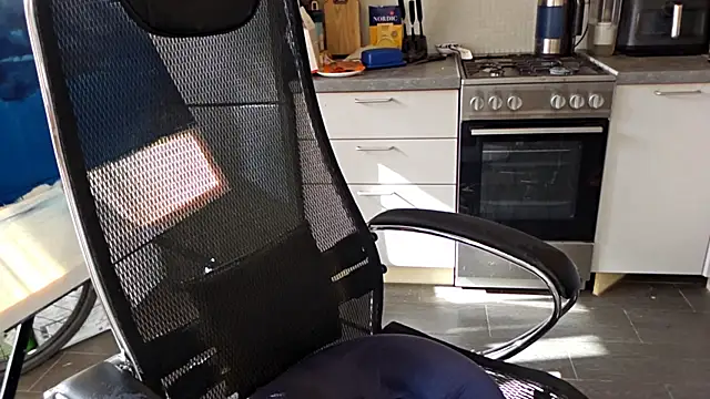 CamelTorch live
