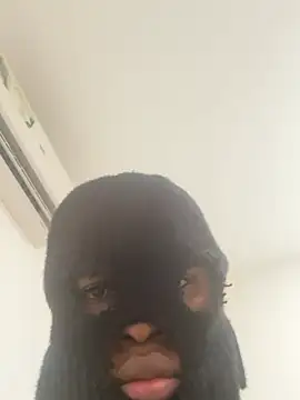 Bjeje live