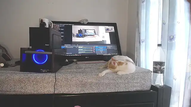 eolicasex live