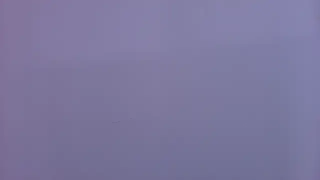 rubihops live