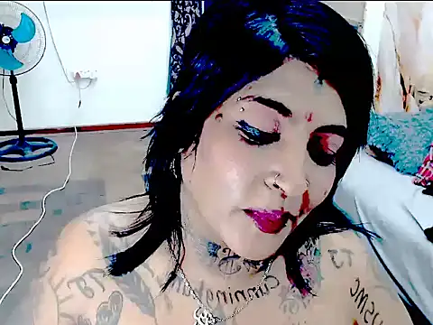 Indiancatz2 live