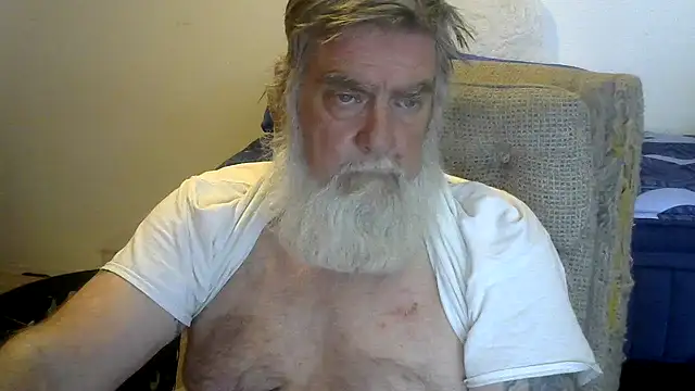 viejo_oso live