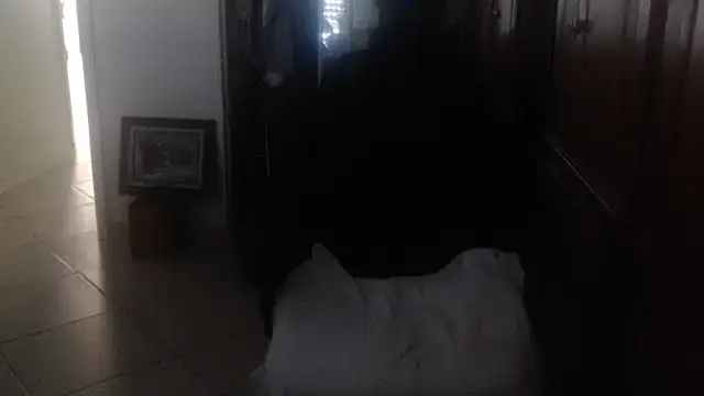 joeydee1 live