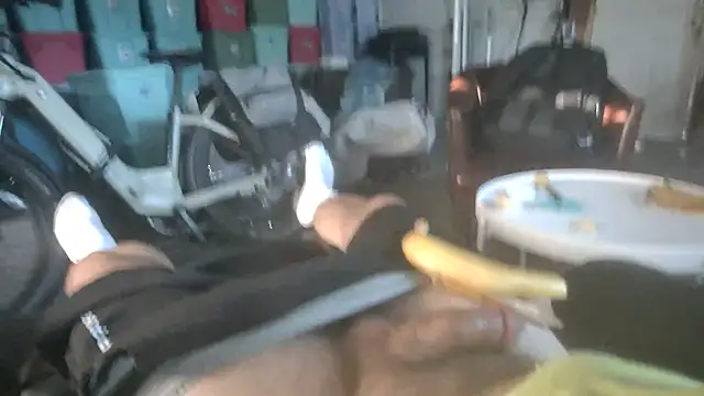 leonewton live