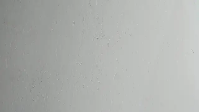 dakotadolly live