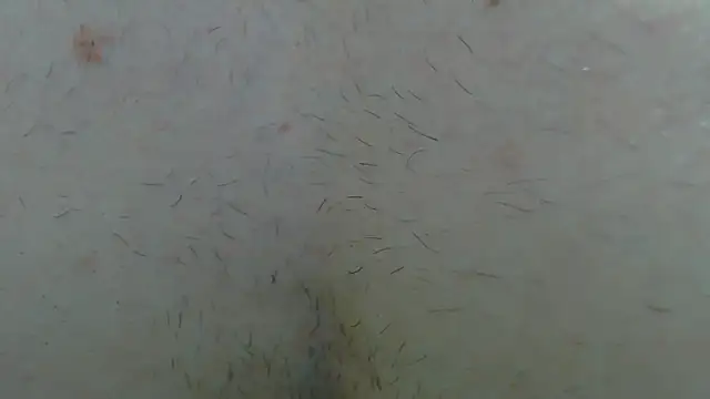 Rocky_Muscle live