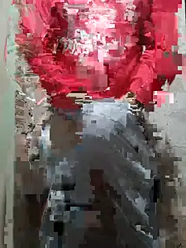 Chico_vento live