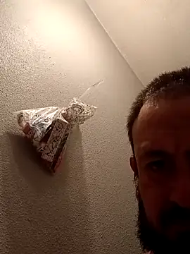 Paradota69690 live