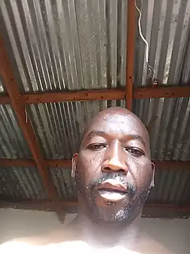 WiseDi live