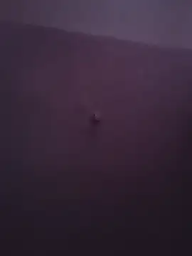 David30Bby live