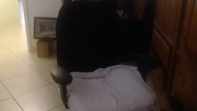 joeydee1 live