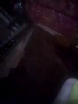 Seiciz live