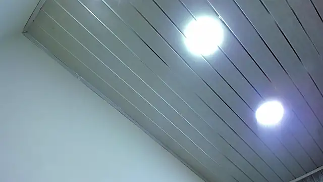 tamara_bloom20xx live