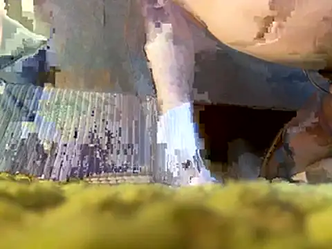 pornStasy live