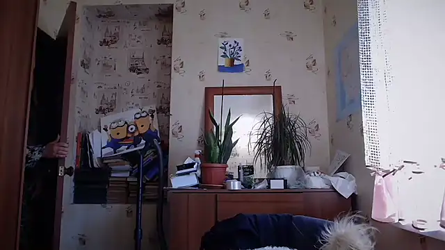dream_alexa live