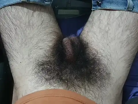 bomvemcam live