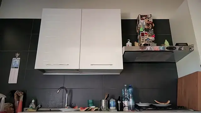 theitalianbear live