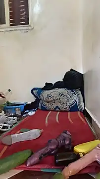 tslovetoys5 live