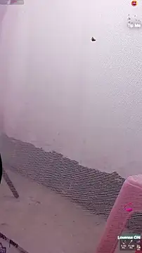 cutepets1 live