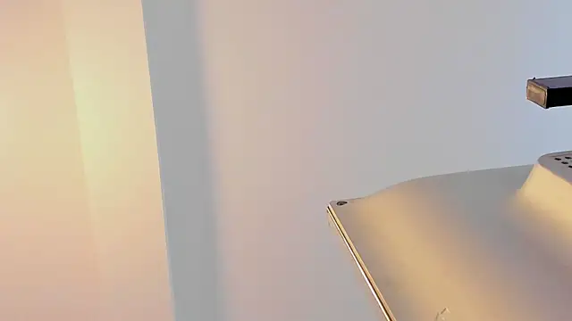 Alanna_Wild live