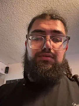 dpenguino live