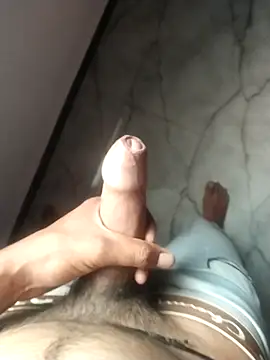 PracticalGum40 live