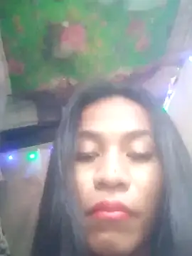 simplytrans profile