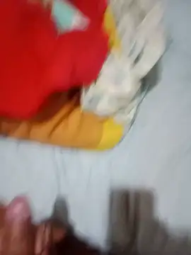 pelukeitor live