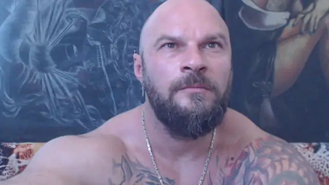viking_30 live
