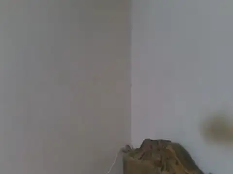 elpoop7305 live