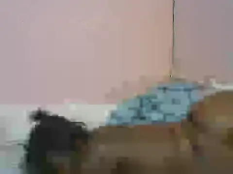 Wild_Ass- live