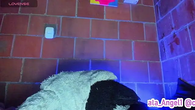 Cata-angel live