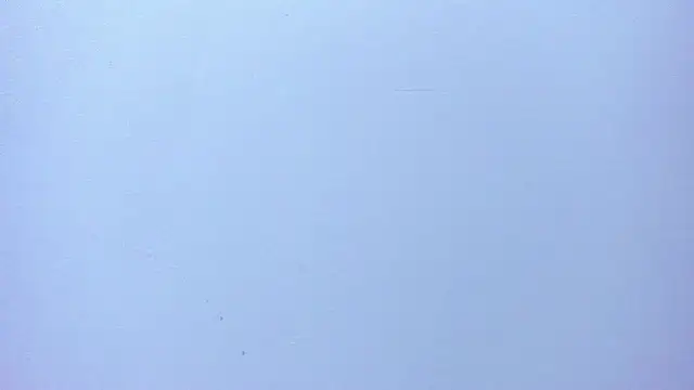 emilyyrouse live