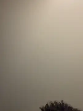 pnaastyyy live