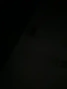 Dambaby25 live