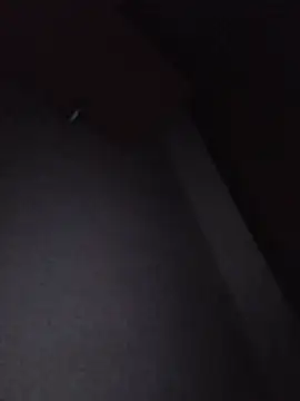 Hottiesophie live