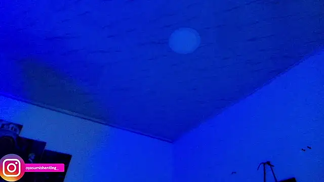 Nicorobinn live