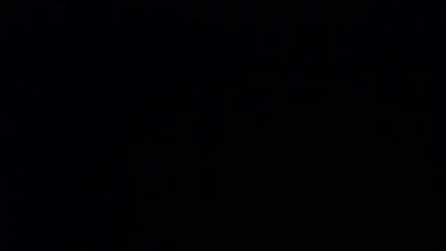 alexa_milsf live