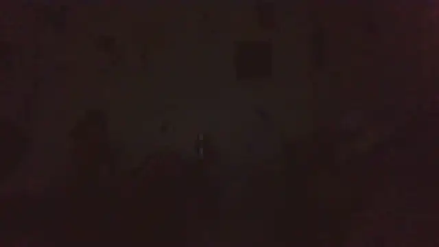 paradisejas live