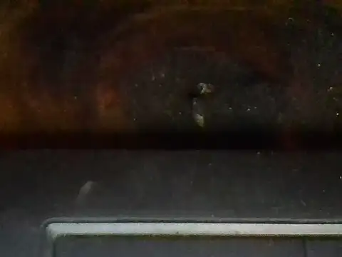 sherry_anne live