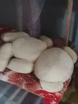 _Keisa_pussy live