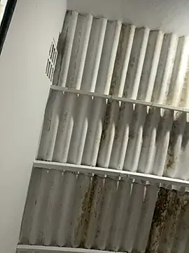 Aaliyah_Melej live