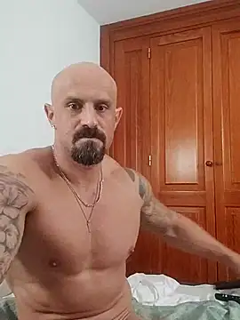 Visto36 live